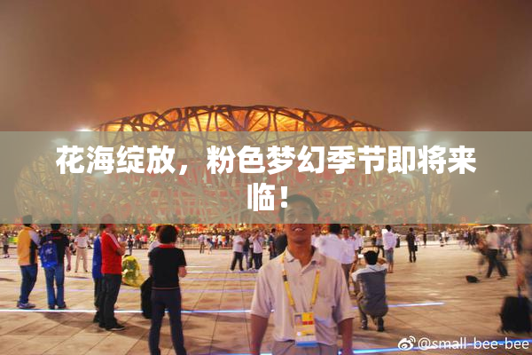 花海绽放，粉色梦幻季节即将来临！