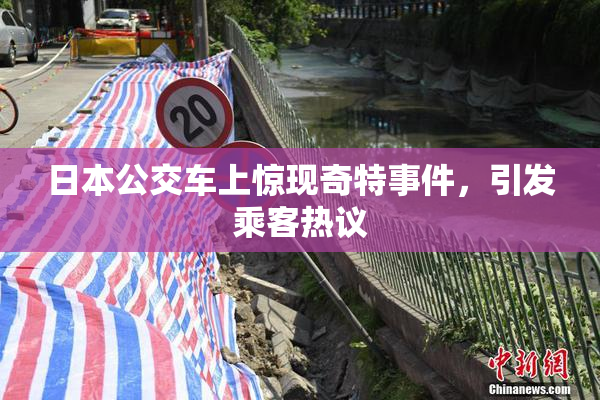 日本公交车上惊现奇特事件，引发乘客热议