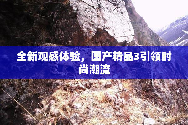 全新观感体验，国产精品3引领时尚潮流