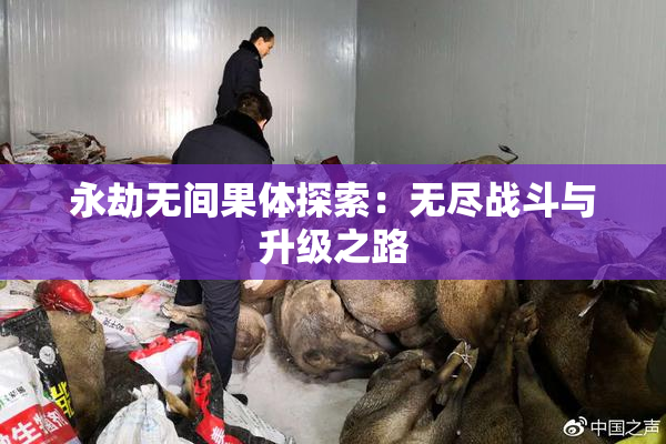 永劫无间果体探索：无尽战斗与升级之路