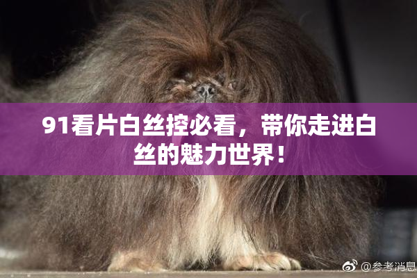 91看片白丝控必看，带你走进白丝的魅力世界！