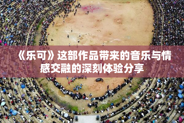《乐可》这部作品带来的音乐与情感交融的深刻体验分享