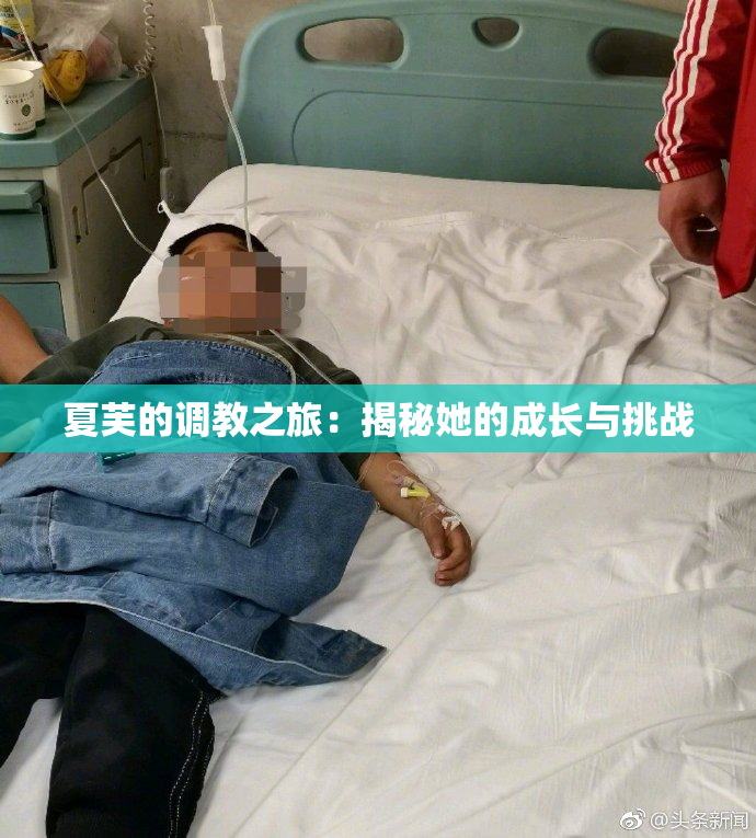 夏芙的调教之旅：揭秘她的成长与挑战