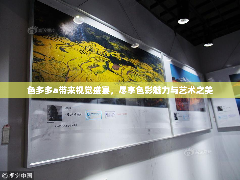 色多多a带来视觉盛宴，尽享色彩魅力与艺术之美
