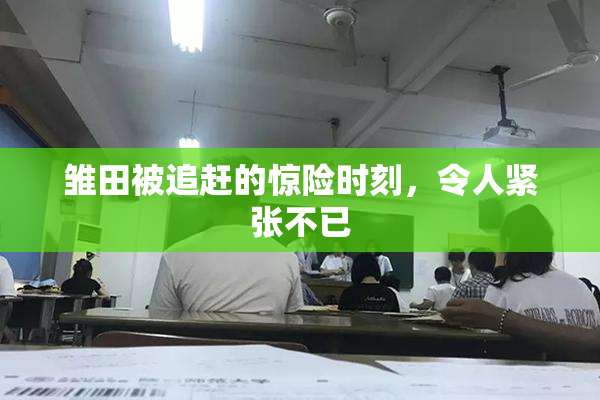 雏田被追赶的惊险时刻，令人紧张不已