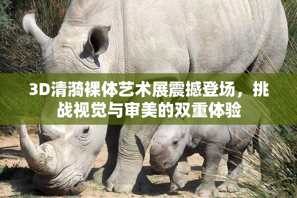 3D清漪裸体艺术展震撼登场，挑战视觉与审美的双重体验