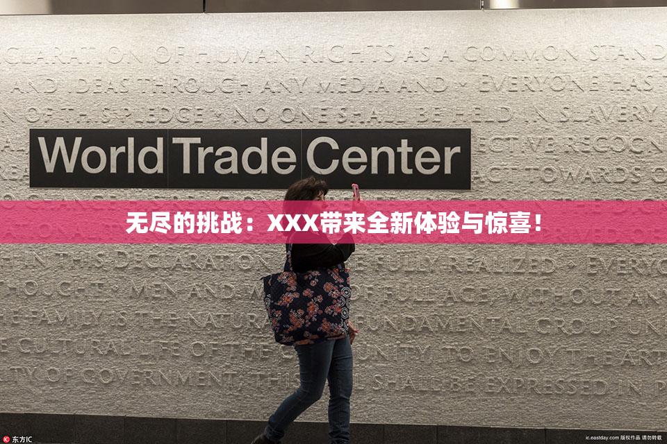 无尽的挑战：XXX带来全新体验与惊喜！