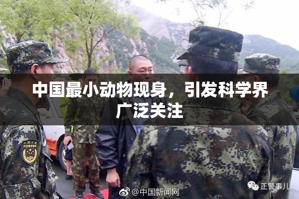 中国最小动物现身，引发科学界广泛关注