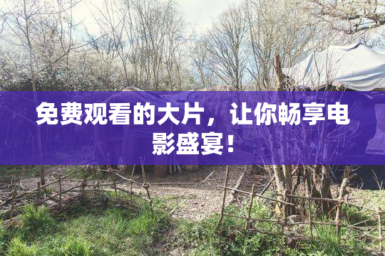 免费观看的大片，让你畅享电影盛宴！