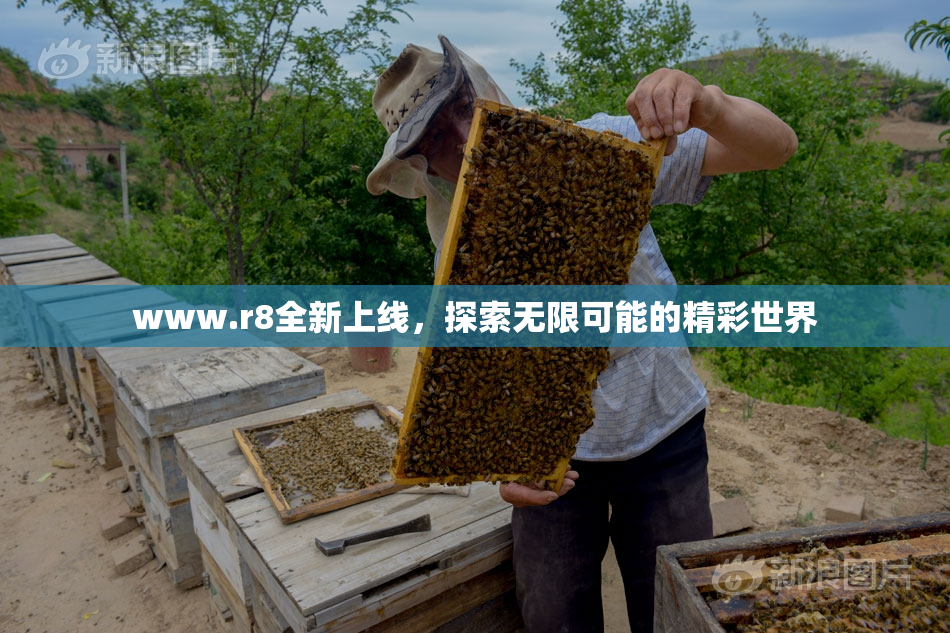 www.r8全新上线，探索无限可能的精彩世界