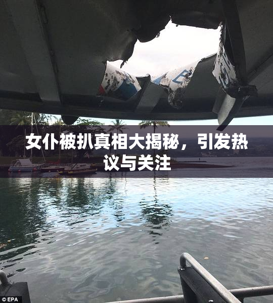 女仆被扒真相大揭秘，引发热议与关注
