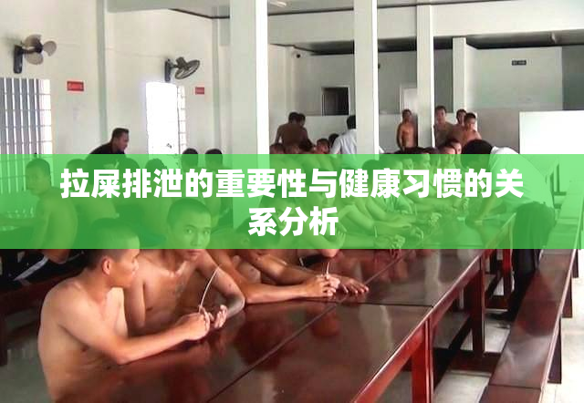 拉屎排泄的重要性与健康习惯的关系分析