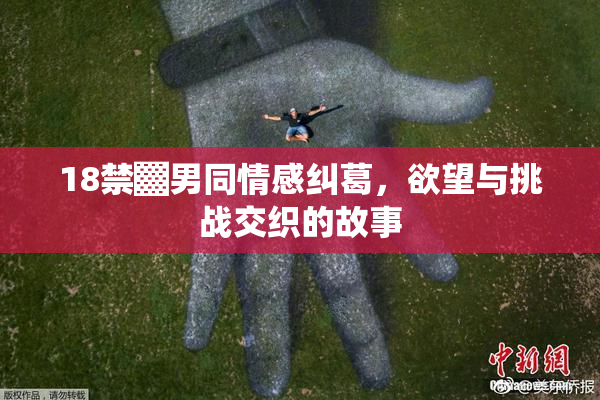 18禁▓男同情感纠葛，欲望与挑战交织的故事