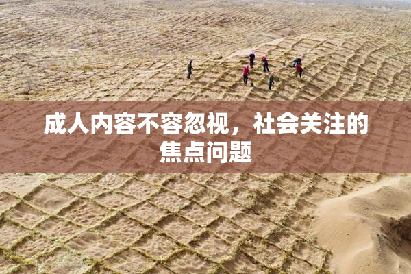 成人内容不容忽视，社会关注的焦点问题