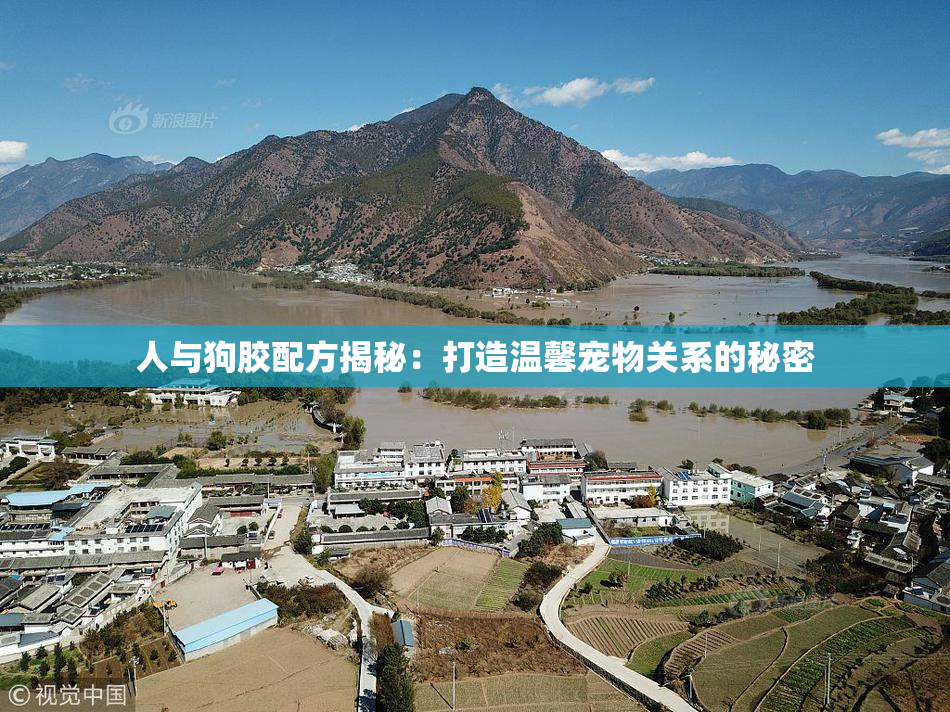 人与狗胶配方揭秘：打造温馨宠物关系的秘密