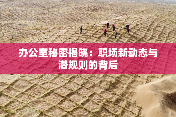 办公室秘密揭晓：职场新动态与潜规则的背后