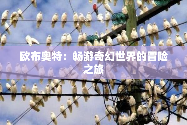 欧布奥特：畅游奇幻世界的冒险之旅