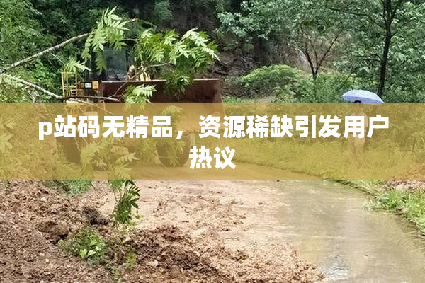 p站码无精品，资源稀缺引发用户热议