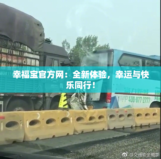 幸福宝官方网：全新体验，幸运与快乐同行！