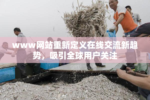 www网站重新定义在线交流新趋势，吸引全球用户关注