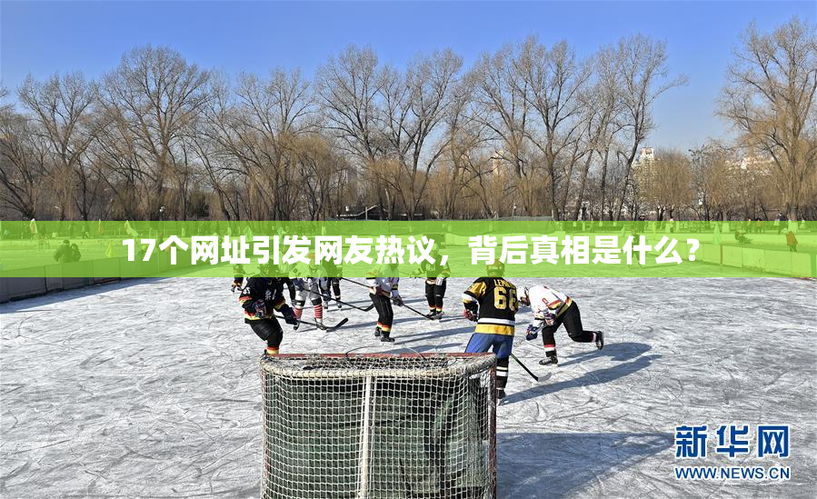 17个网址引发网友热议，背后真相是什么？