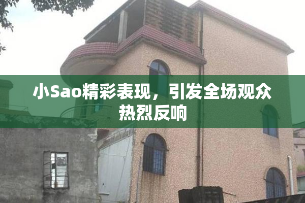 小Sao精彩表现，引发全场观众热烈反响