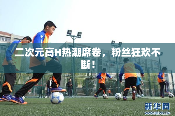 二次元高H热潮席卷，粉丝狂欢不断！