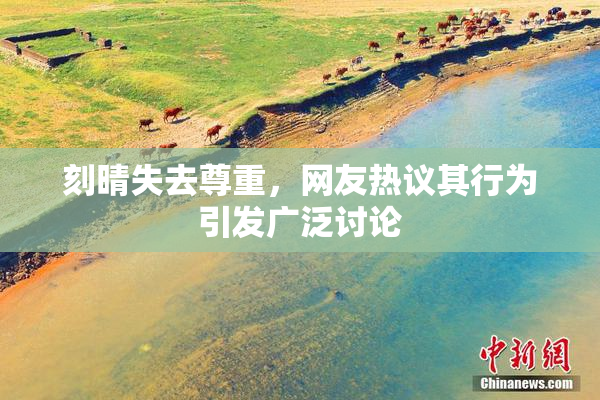 刻晴失去尊重，网友热议其行为引发广泛讨论