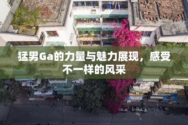 猛男Ga的力量与魅力展现，感受不一样的风采