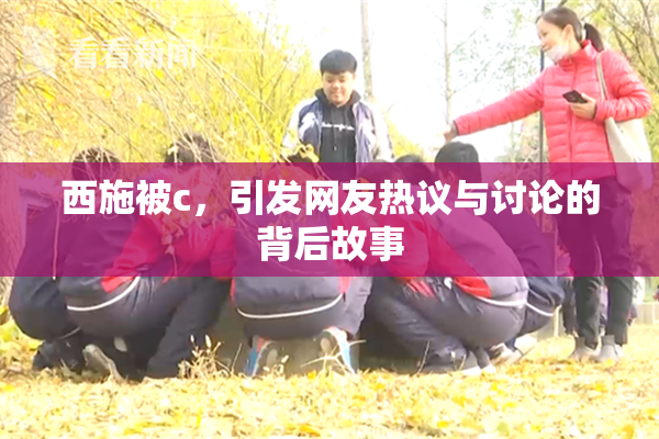 西施被c，引发网友热议与讨论的背后故事