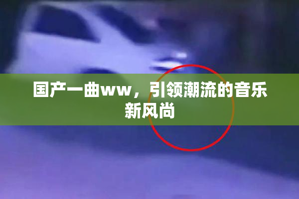 国产一曲ww，引领潮流的音乐新风尚