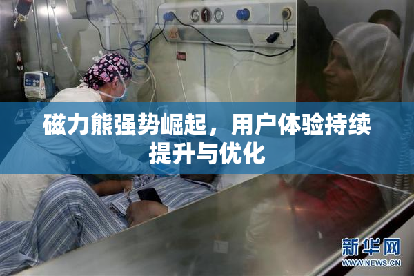 磁力熊强势崛起，用户体验持续提升与优化