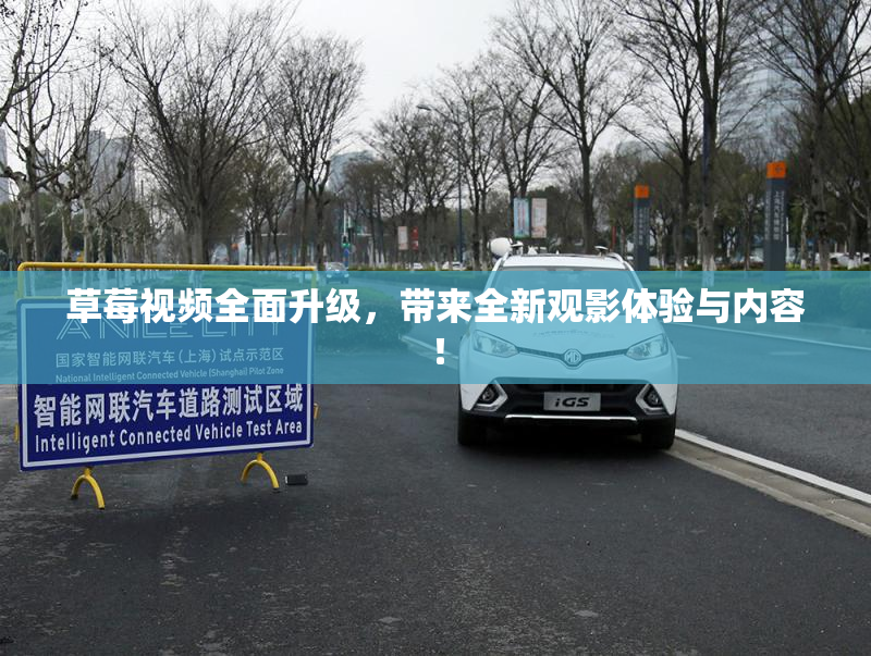 草莓视频全面升级，带来全新观影体验与内容！