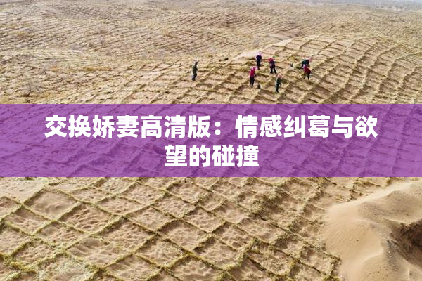 交换娇妻高清版：情感纠葛与欲望的碰撞