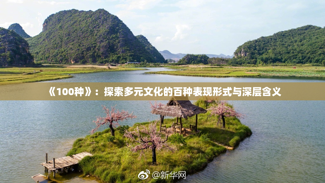 《100种》：探索多元文化的百种表现形式与深层含义