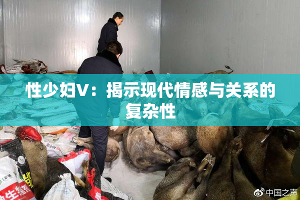 性少妇V：揭示现代情感与关系的复杂性