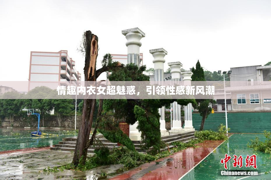 情趣内衣女超魅惑，引领性感新风潮