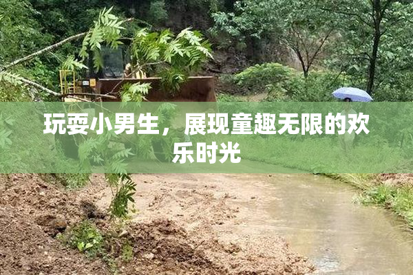 玩耍小男生，展现童趣无限的欢乐时光