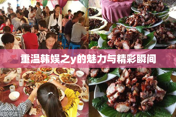 重温韩娱之y的魅力与精彩瞬间