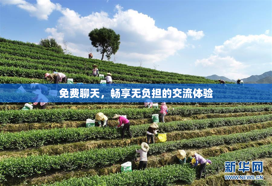 免费聊天，畅享无负担的交流体验
