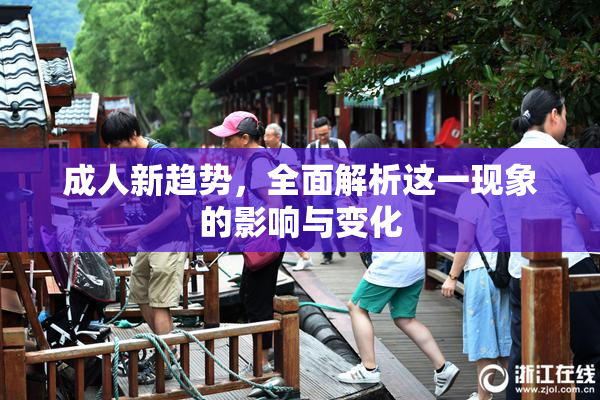 成人新趋势，全面解析这一现象的影响与变化
