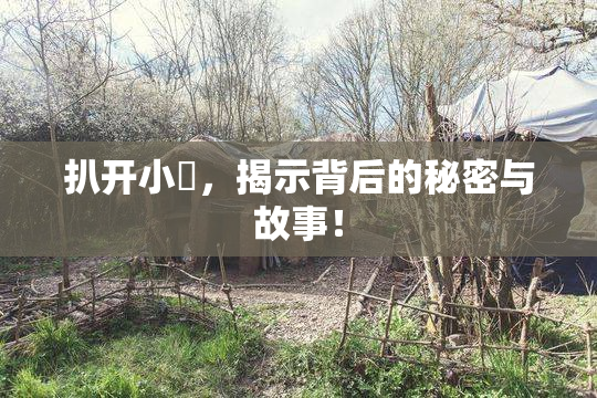 扒开小泬，揭示背后的秘密与故事！