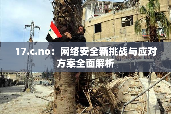 17.c.no：网络安全新挑战与应对方案全面解析