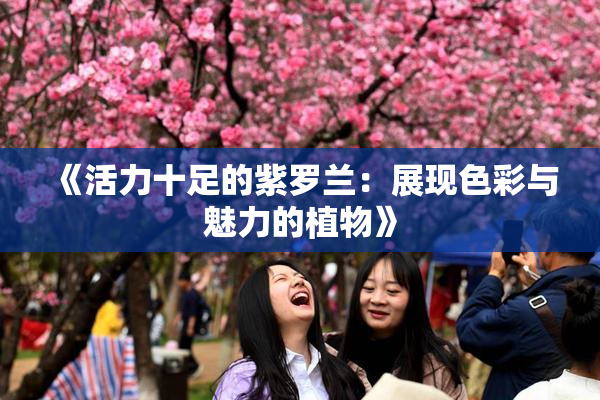 《活力十足的紫罗兰：展现色彩与魅力的植物》