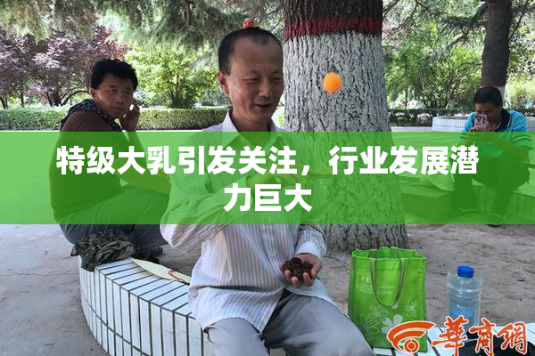 特级大乳引发关注，行业发展潜力巨大