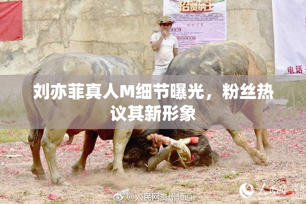 刘亦菲真人M细节曝光，粉丝热议其新形象