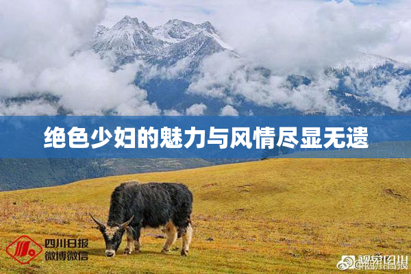 绝色少妇的魅力与风情尽显无遗
