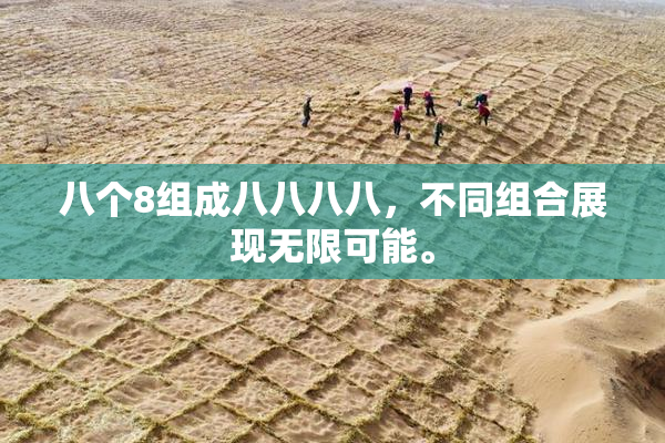 八个8组成八八八八，不同组合展现无限可能。