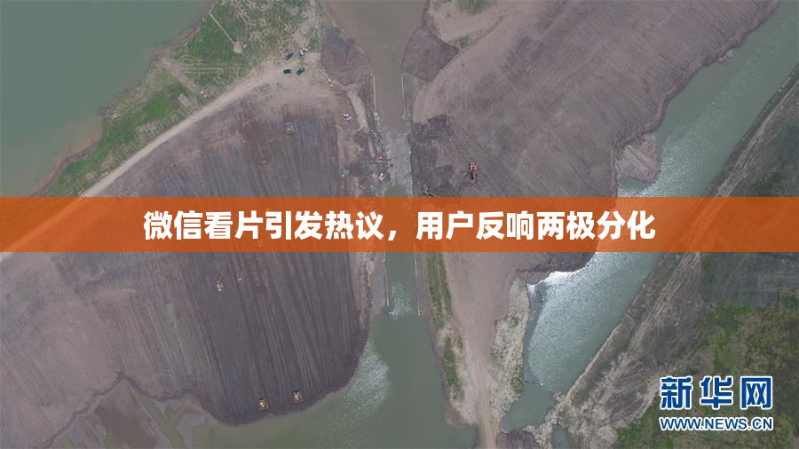 微信看片引发热议，用户反响两极分化