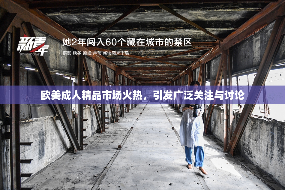 欧美成人精品市场火热，引发广泛关注与讨论